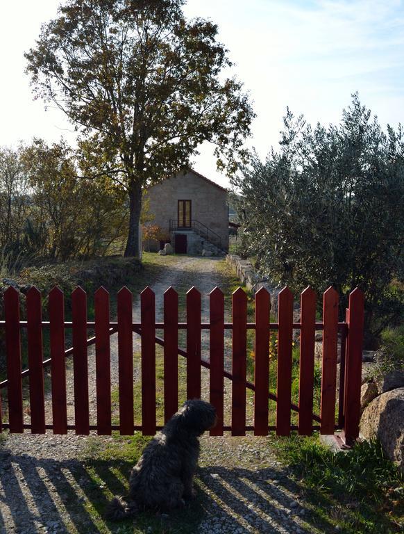 Retiro Da Lameira Seia Luaran gambar